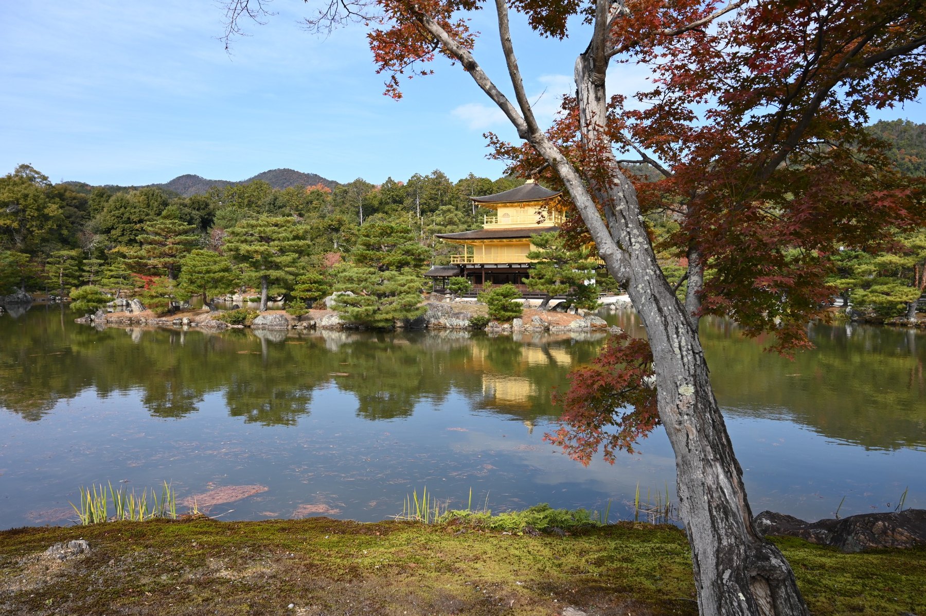 Golden Pavilion, Japan photograph by Richard Scudder