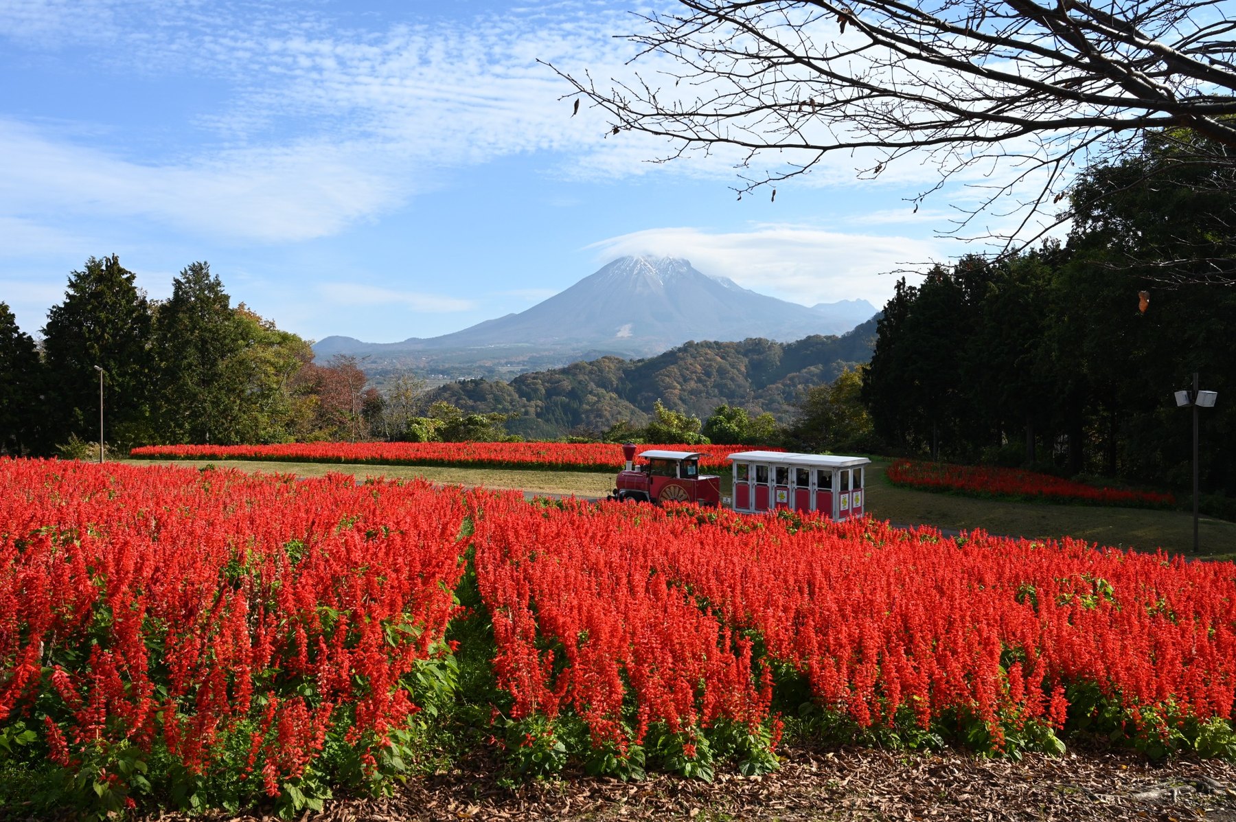 Japan photograph by Richard Scudder