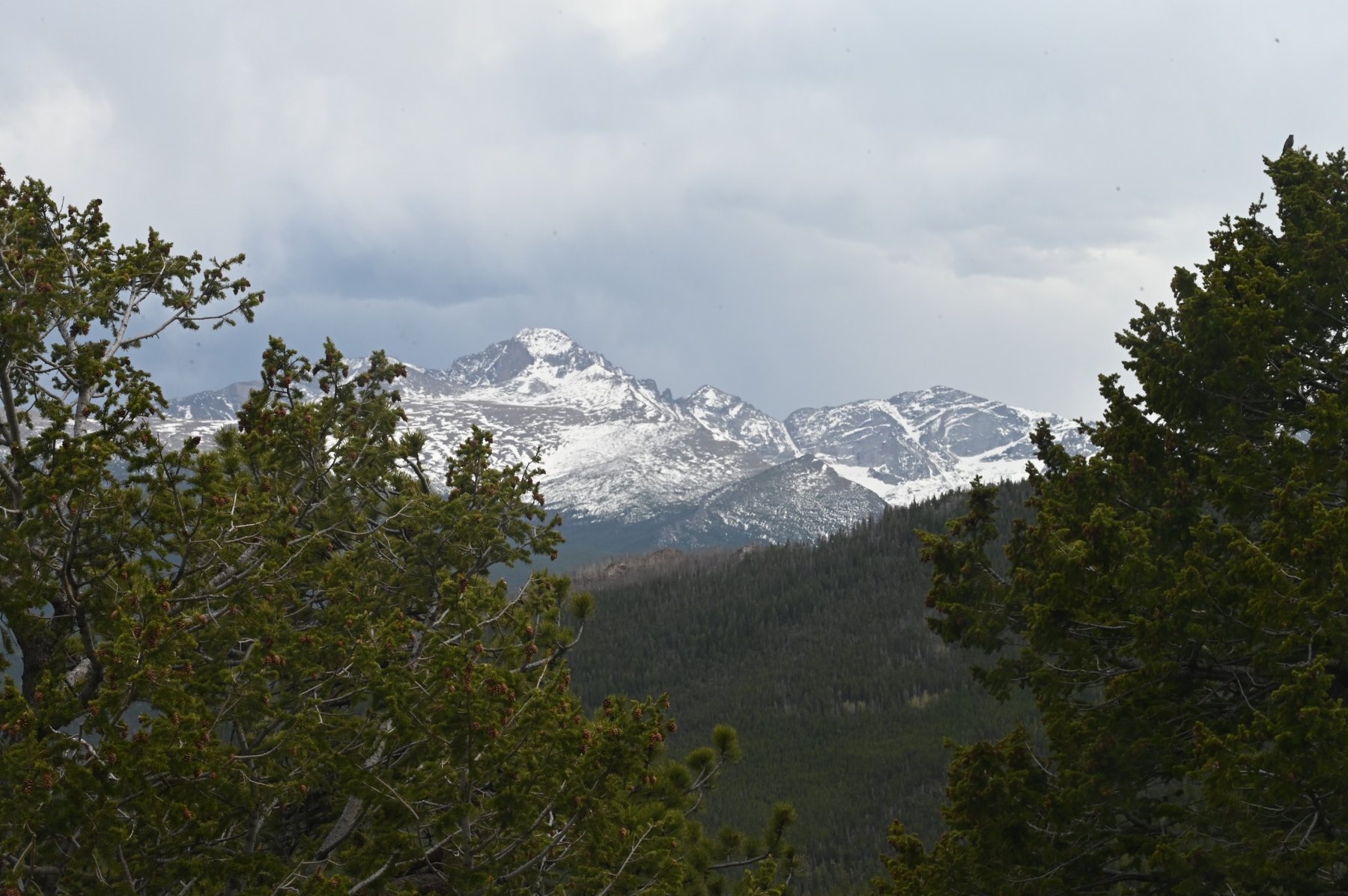 Longs Peak photograph by Richard Scudder