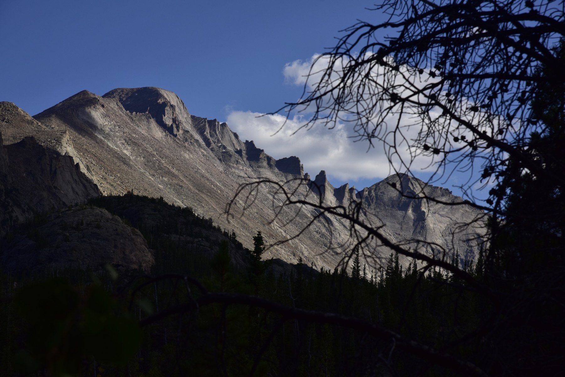 Longs Peak photograph by Richard Scudder