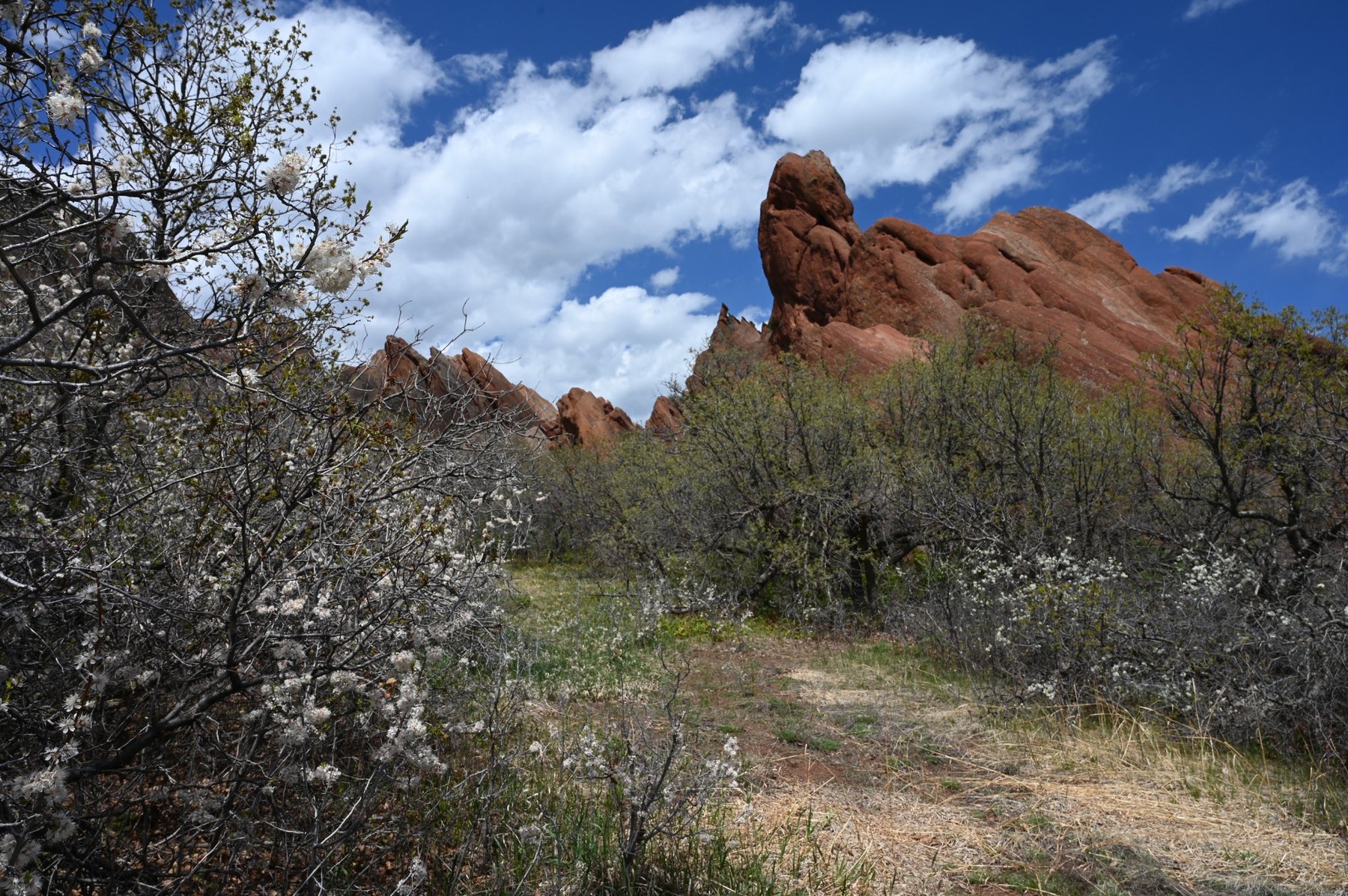 Roxborough photograph by Richard Scudder