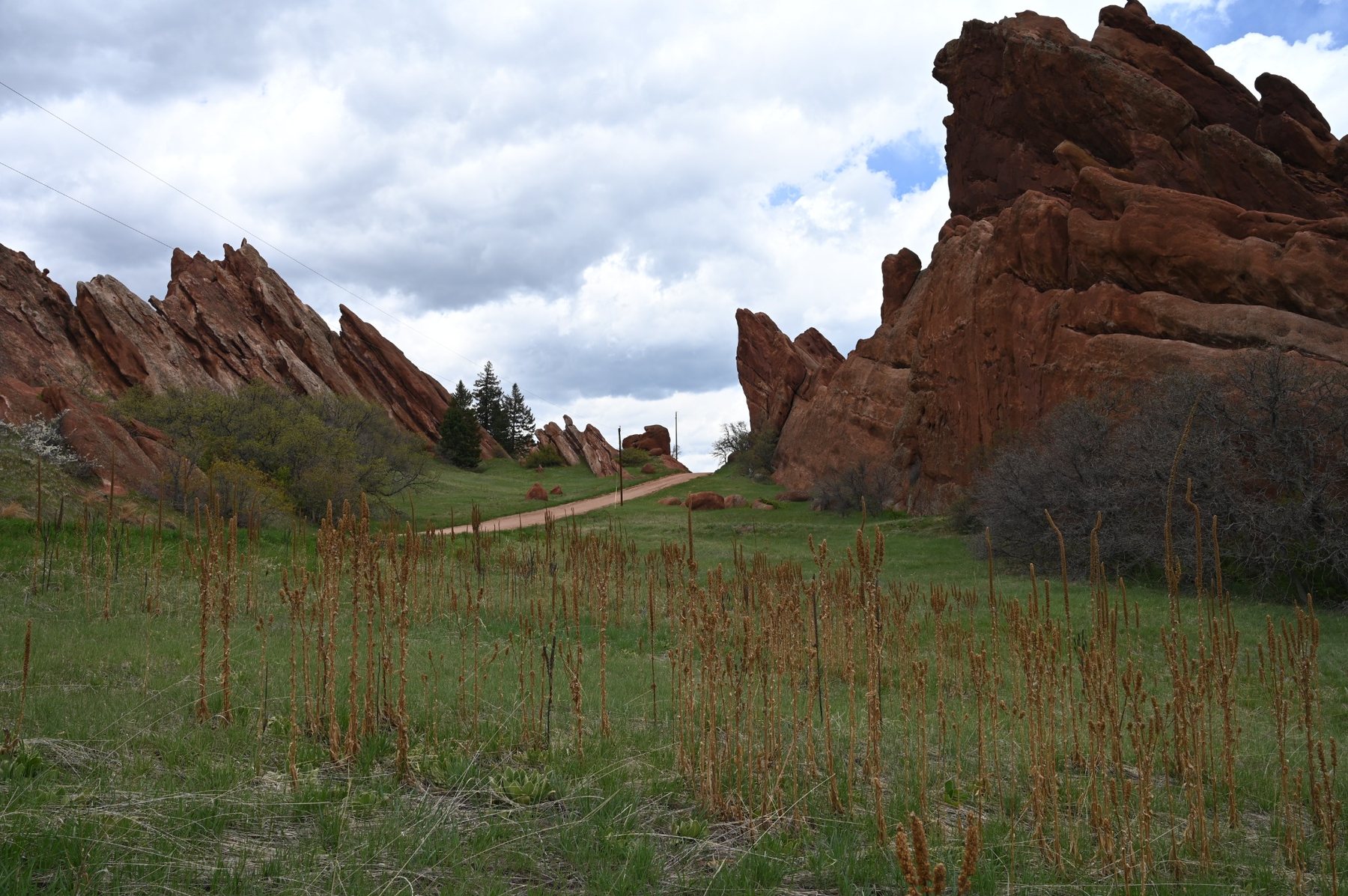 Roxborough photograph by Richard Scudder